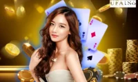บาคาร่า ได้เงินไว
