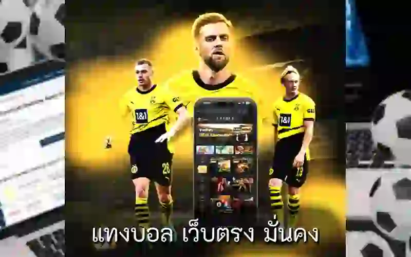 แทงบอล เว็บตรง มั่นคง